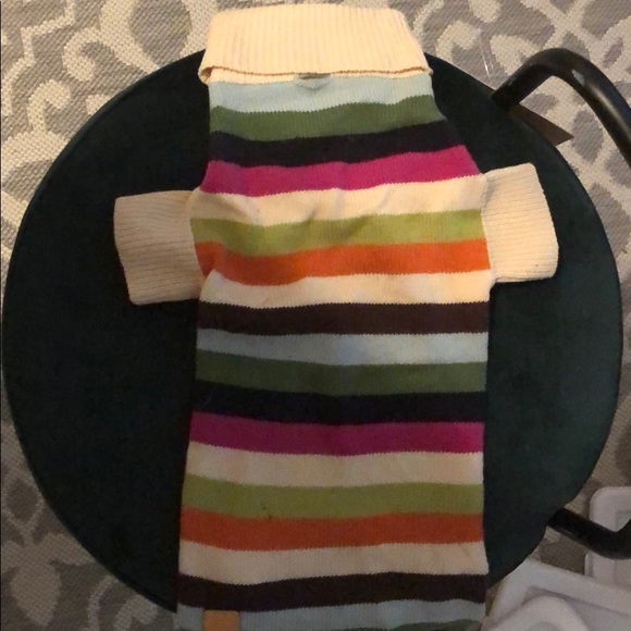 coach dog sweater